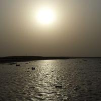 بنـت جزيرهـ فرسآن  (@9eee34271bd943e) 's Twitter Profile