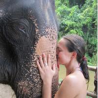 Georgia Stevenson (@georgialilystev) 's Twitter Profile