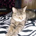 Roxanne McIntyre - @RoxieBaby29 - Twitter