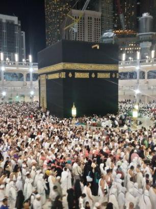 “ إذا كانت رؤيتي أبعد من الآخرين، فذلك لأني أقف على أكتاف العمالقة. ” - إسحاق نيوتن