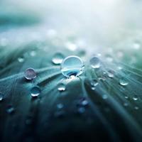 Ina Michaelis-Ugwonno (@michaelisina) 's Twitter Profile