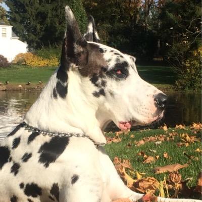 pam_andersen's profile picture. 