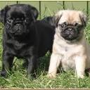 Rhea harrison - @Rhea_Harrison - Twitter