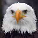 BEATRIZ ARAIZA - @ARAIZABaraizaf - Twitter