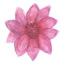 Jill Mitchell - @kcnaturalbliss - Twitter