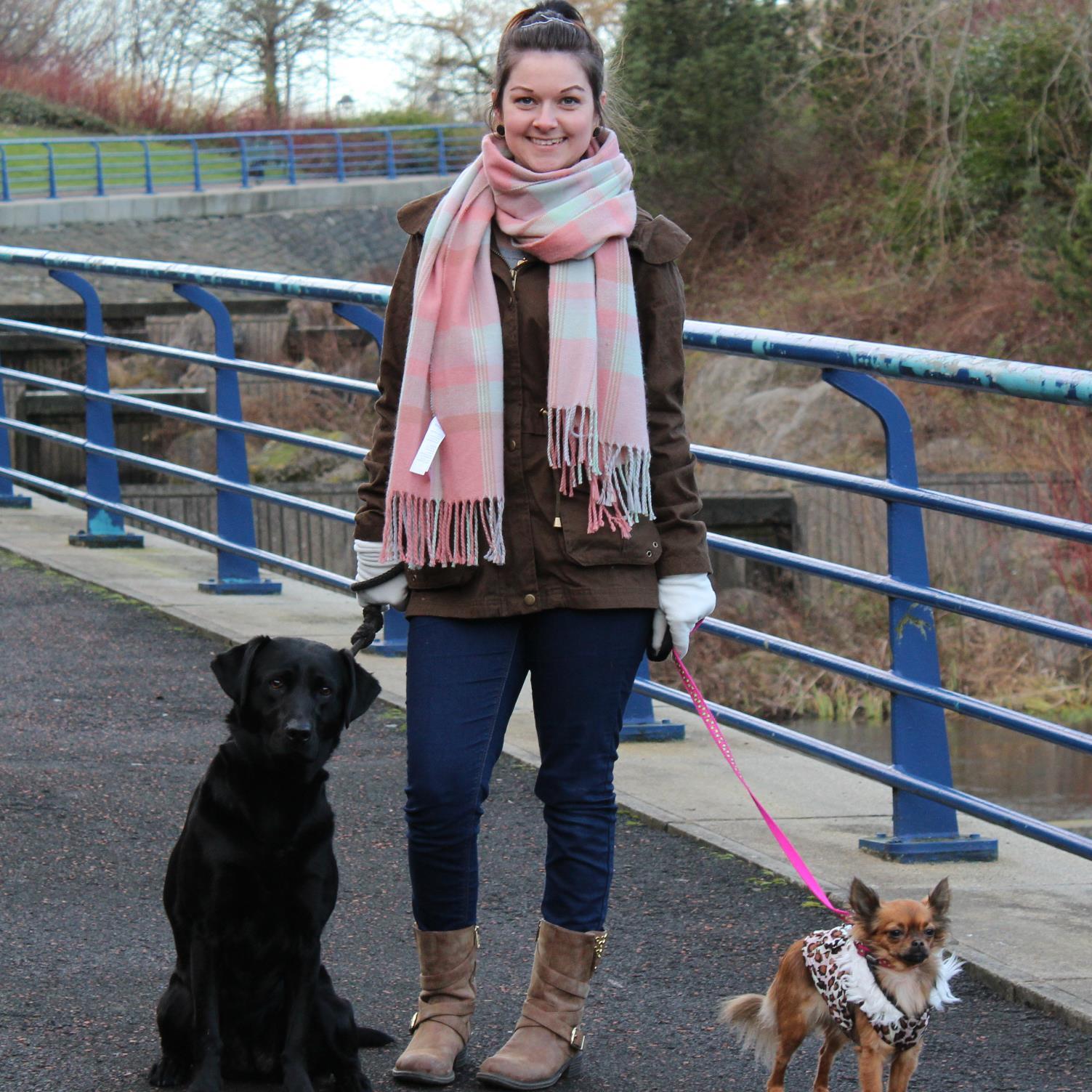 PetsPawsitive's profile picture. dog walker North Tyneside and surrounding areas, pet sitter, pet taxi, dog boarding and more, visit my website http://t.co/UhSwAhnP0O