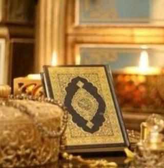 NourAlhooda's profile picture. 