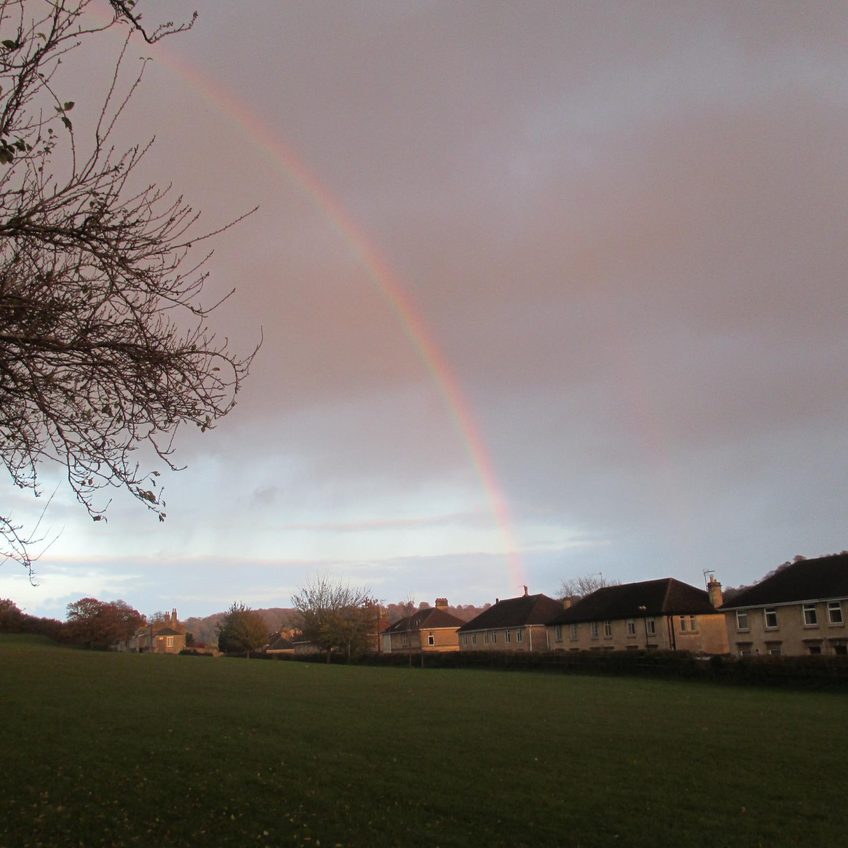 OpenGreenSpace's profile picture. 