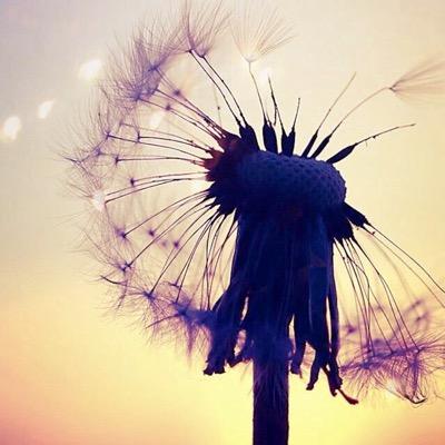 I've made this wish for years, it hasn't came true yet...