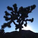 Tory Brady - @gs_tory - Twitter