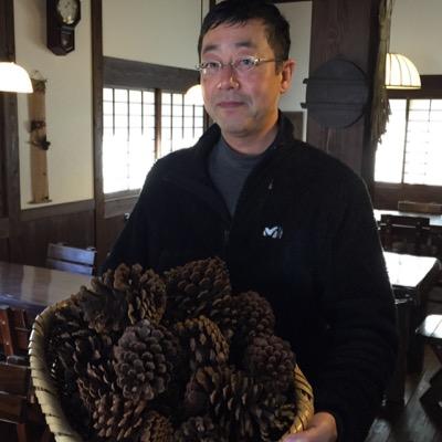 sugimotot's profile picture. 