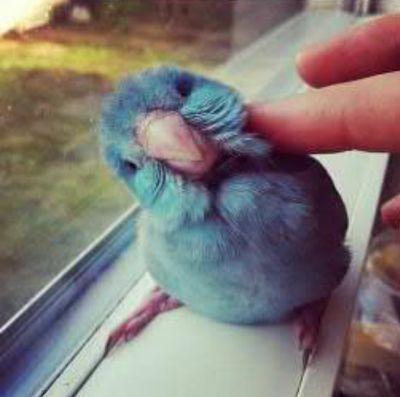 ¡Tus mejores tweets están aquí!