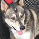 Nancy Shields - @honeybears62 - Twitter