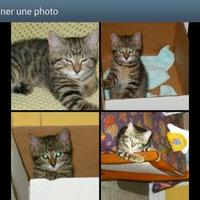 Richard (VI) (@coteri11) 's Twitter Profile Photo Richard (VI) (@coteri11) 's Twitter Profile Photo