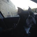 Neil Moon - @MoonMooner40 - Twitter