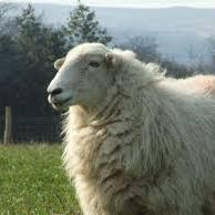 Fairness4theUplands (@fairnessuplands) 's Twitter Profile
