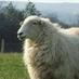 Fairness4theUplands (@fairnessuplands) Twitter profile photo