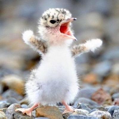 Aj14_go's profile picture. 外資系企業でマーケターのようなことをしている酒飲み30代談志。男子。ウイスキーうめぇ。