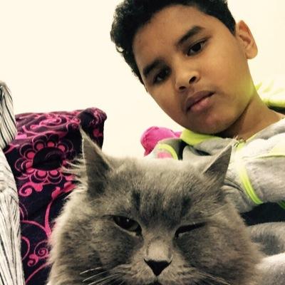 حبتوريات السعودية