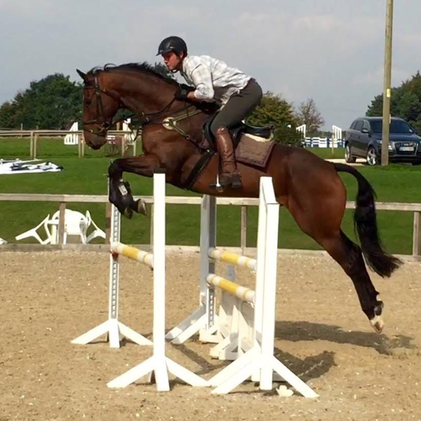 Horses in training, eventing and for sale. Wiltshire based event rider.