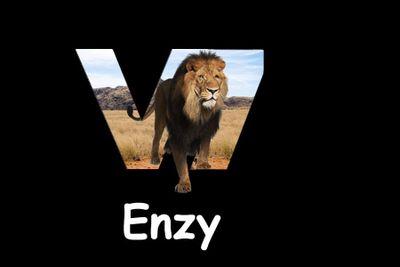 I am a trickshotter i make  YouTube video and i vlog with my friends and more. We have 100k so go and check out our YouTube channel it is KM Axeking so yea