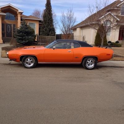 ROYALRIGGER's profile picture. 