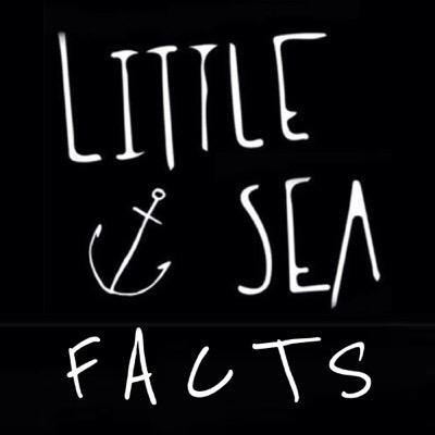 ⠀ ⠀ ⠀ ⠀ ⠀ ⠀ ⠀- The Real Facts - ⠀⠀⠀ ⠀ ⠀⠀⠀ ⠀ ⠀ ⠀⠀⠀ ⠀⠀ ⠀ ⠀⠀⠀ ⠀ ⠀⠀⠀ ⠀ ⠀⠀⠀ ⠀ ⠀⠀ ⠀⠀⠀ ⠀ ⠀ ⠀⠀⠀ ⠀ ⠀⠀⠀⠀⠀s q u a d