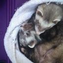 Tye - @TyeNatasha - Twitter