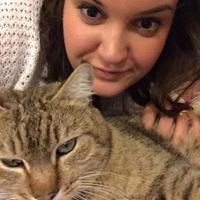 Francesca Schryver (@deathbforedecaf) 's Twitter Profile