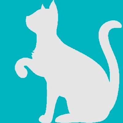 うそなんだね。