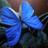 Sabi_c23's profile image