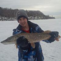 Corson Hanlan (@corsonhanlan) 's Twitter Profile