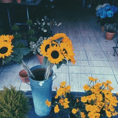 CarlaNavarrete0's profile picture. 