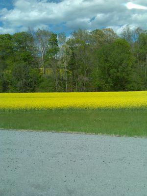 The_ghost_tech's profile picture. If you like the Outdoors... We'll Get Along!