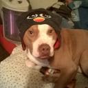 Jeramie Smith - @ahmadswayzer2 - Twitter