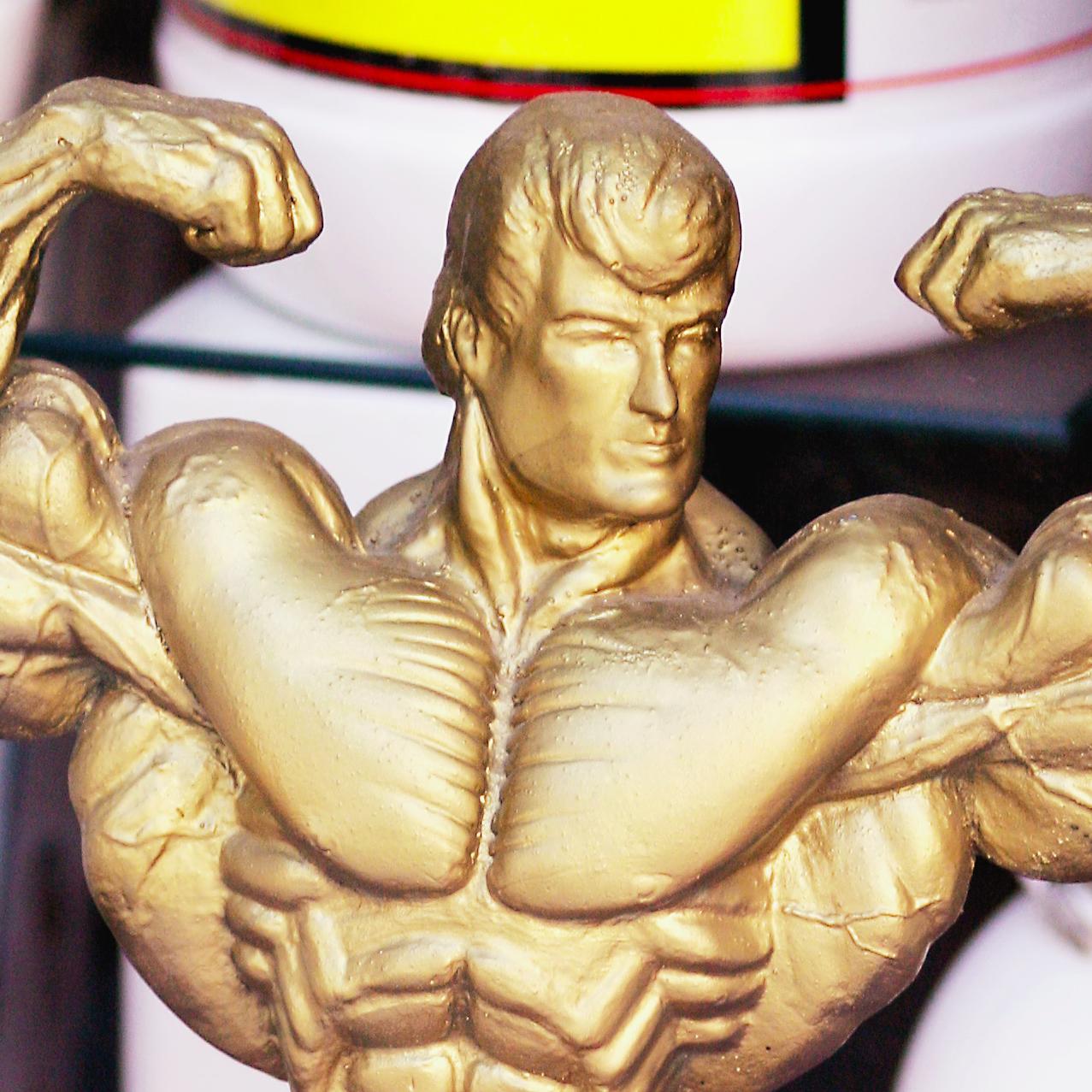 meatheaddev's profile picture. Upgrading my workout with P90-xHTML