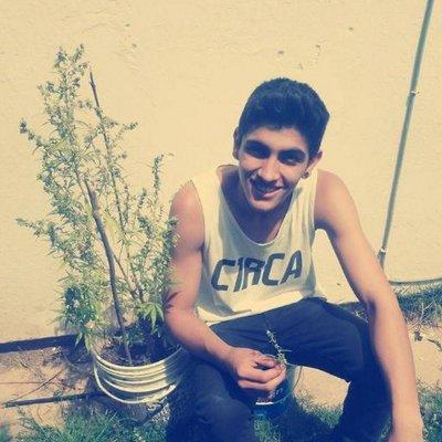 JaviBosco2's profile picture. Seguime y te sigo