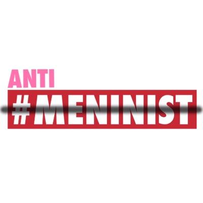 the official anti meninist account
