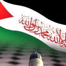 mohdniaziismail's profile picture. 