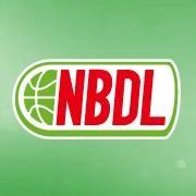 日本バスケットボール育成リーグ
National Basketball Development League（NBDL）
トップリーグ（NBL）の下部リーグとして2013年にスタート。将来的にトップリーグへの参入を目指す選手やチームの成長の場となるべく育成（Development）を目的に設立されました。