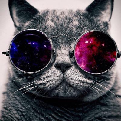 PLEASE FOLLOW @cmuniz2001 BECAUSE SHE GAVE YOU A FREE FOLLOW!!!
