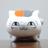 m_sachiko45's profile image