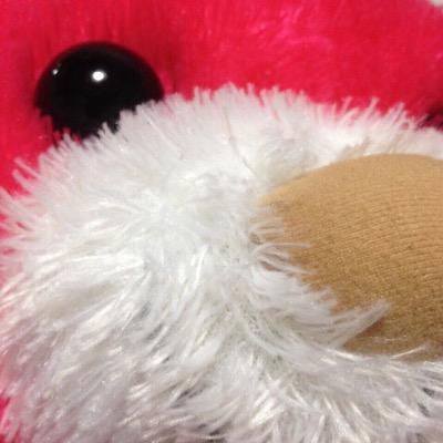 nusihshs's profile picture. ヌシです。始めたばかりで、わからないことだらけですが、よろしくです。相方→ @piiyori