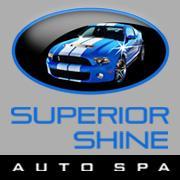 Professional Auto Detailing. 