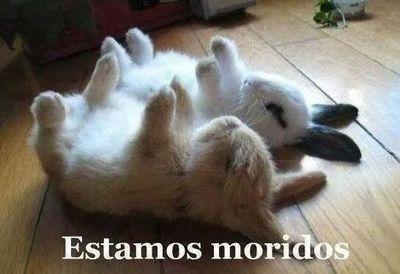 _JovenRealista_'s profile picture. 