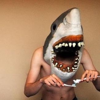 MUTSHARKS's profile picture. 
