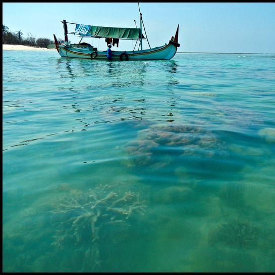 Jagonya Tiket Murah Pesawat (Domestik & International), Kereta Api, Hotel, Paket Wisata,Paket Umroh&Haji. Ph: 085655280627 Wassap: 0818279242 Pin: 22B9725F