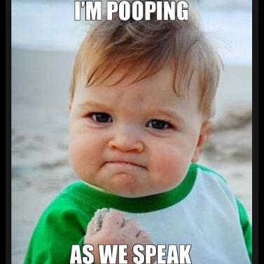 Have you ever had a particularly peculiar thought will taking a shit? Yeah us too, here we share our inspiring shit talk, happy pooping