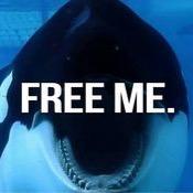 SeaWorldOfShame's profile picture. Sea Shepherd supporter | #EmptyTheTanks