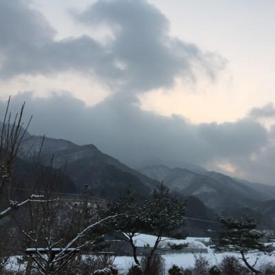 bhapu0's profile picture. researcher